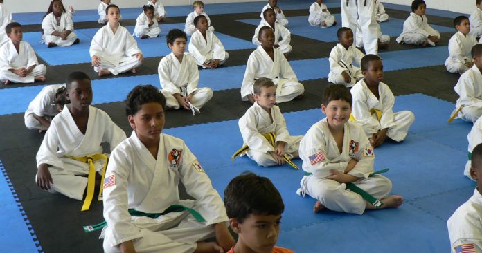 Martial arts kids class.