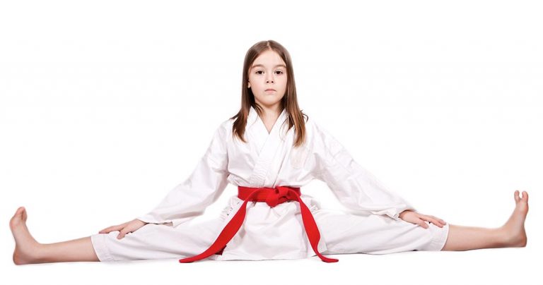 Is Your Martial Arts Instruction Physically Fit?