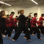 mccoys-action-karate