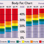 bodyfatchart