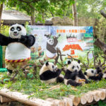 44fc954b9f883ba6a108a0a1af45a696f3c0e6bc