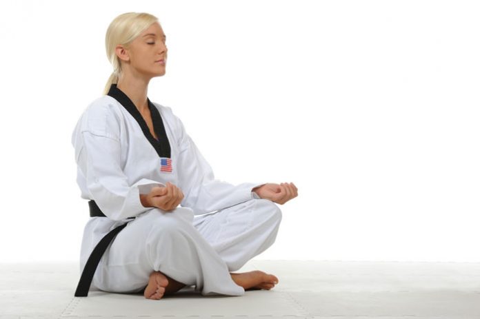 meditating martial artist