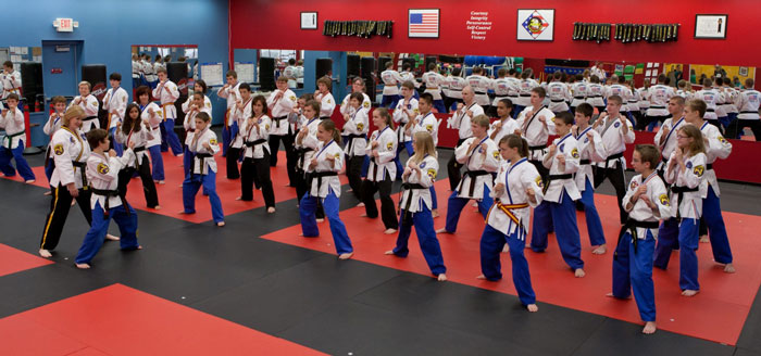 Olson’s Martial Arts Academy: A Model For Success
