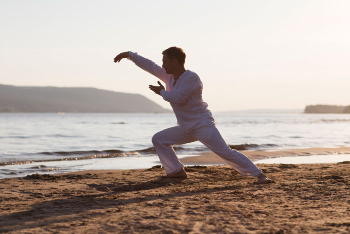 Martial Arts Training the Farlek Way