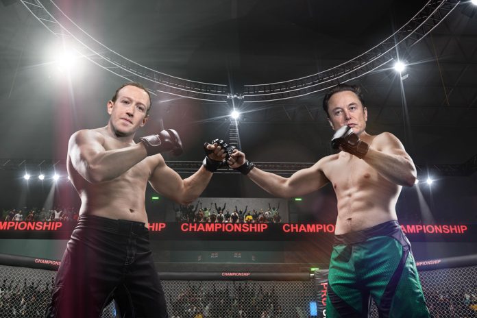 Zuckerberg vs Musk fight
