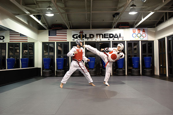 Sparring Gold Medal Taekwondo