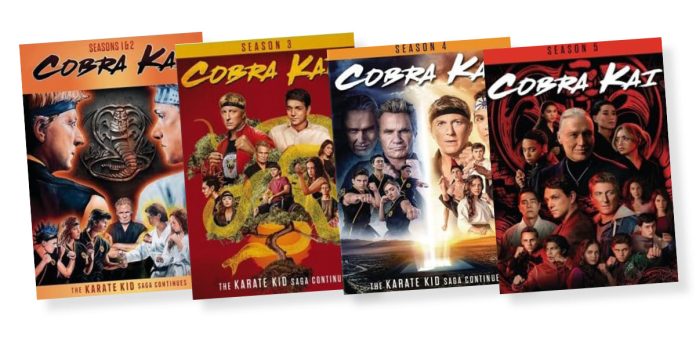 Cobra Kai covers