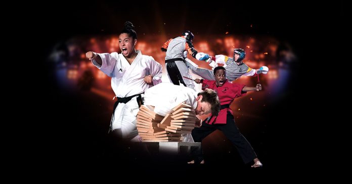 U.S. Open Karate art.